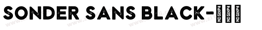 Sonder Sans Black字体转换